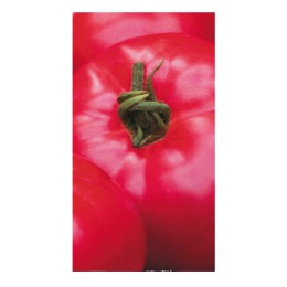 Семена томатов (помидор) Афен F1 Клаус (Clause) 250 гр.