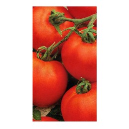 Семена томатов (помидор) Андромеда F1 Элитный ряд 5 гр.