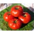 Семена томатов (помидор) Андромеда F1 Элитный ряд 5 гр.