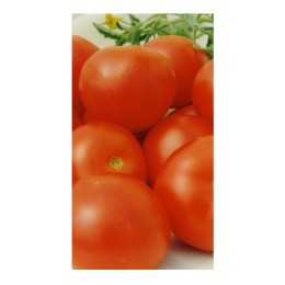 Семена томатов (помидор) Аврора F1 Элитный ряд 1 гр.
