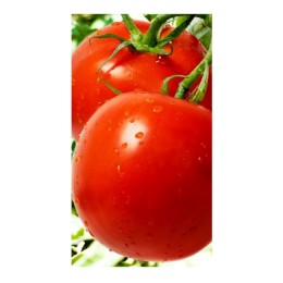 Семена томатов (помидор) Санька Элитный ряд 1 гр.