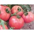 Семена томатов (помидор) Андромеда розовая Элитный ряд 1 гр.