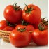 Семена томатов (помидор) Шеди леди F1 Nunhems 1000 штук