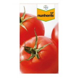 Семена томатов (помидор) Скиф Nunhems 1000 штук.