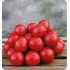 Семена томатов (помидор) Солероссо Nunhems 1000 штук