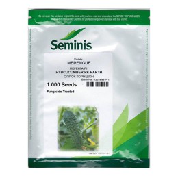 Семена огурца Меренга F1 Семинис (Seminis) 1000 шт.