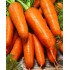 Семена моркови Абликсо F1 Семинис (Seminis) 1 гр.