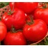 Семена томатов (помидор) Марисса F1 Семинис (Seminis) 10 шт.