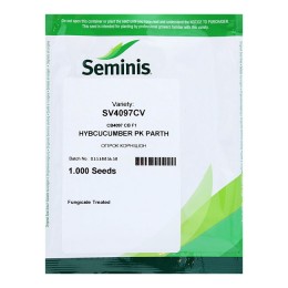 Семена огурца СВ4097ЦВ F1 Семинис (Seminis) 1000 шт.