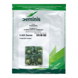 Семена капусты белокочанной Пандион F1 Семинис (Seminis) 2500 шт.