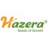 Hazera (Хазера)