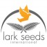 Lark seeds (Ларк Сидс)