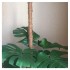 Кокосовая опора для растений 120 см. диаметр 25 мм.