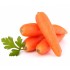 Семена моркови Артек Семена Крыма 10 гр. (Проф. упаковка)