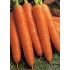 Семена моркови Флакке (Королева осени) Семена Крыма 20 гр. (Проф. упаковка)