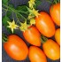 Семена томатов (помидор) Оранжевый Банан Семена Крыма 0.1 гр. гр.