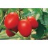 Семена томатов (помидор) Рио-Гранде Оригинал Семена Крыма 0.1 гр.