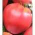 Семена томатов (помидор) Фатима Семена Крыма 0.1 гр.