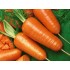 Семена моркови Шантенэ 2461 Семена Крыма 3 гр.