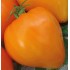 Семена томатов (помидор) Бычье сердце Золотое Семена Крыма 0.1 гр.