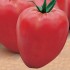 Семена томатов (помидор) Бычье сердце Розовое Семена Крыма 0.1 гр.