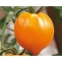 Семена томатов (помидор) Оранжевое сердце Семена Крыма 0.1 гр.