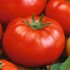 Семена томатов (помидор) Райское наслаждение Семена Крыма 0.1 гр.