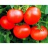 Семена томатов (помидор) Чудо Земли Семена Крыма 0.1 гр.