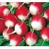 Семена редиса Розово-красный с белым кончиком Семена Крыма 20 гр. (Проф. упаковка)