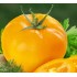 Семена томатов (помидор) Илья Муромец Семена Крыма 0.1 гр.