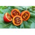 Семена томатов (помидор) Цифомандра Семена Крыма 0.1 гр.