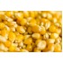 Семена кукурузы Попкорн Семена Крыма 20 гр. (Проф. упаковка)