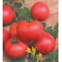 Семена томатов (помидор) Персиановский F1 Семена Крыма 0.05 гр.