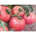 Семена томатов (помидор) Розовый Фламинго Семена Крыма 0.1 гр.