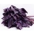 Семена базилика Фиолетовый Семена Крыма 5 гр. (Проф. упаковка)