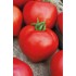 Семена томатов (помидор) Премиум F1 Семена Крыма 0.05 гр.