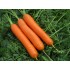 Семена моркови Ранняя Нантская Семена Крыма 10 гр. (Проф. упаковка)
