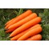 Семена моркови Шантенэ 2461 Семена Крыма 10 гр. (Проф. упаковка)
