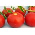 Семена томатов (помидор) Агата Семена Крыма 1 гр.
