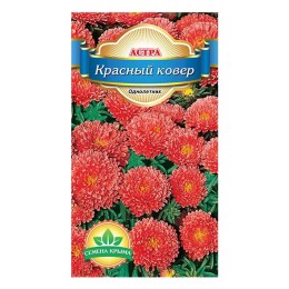 Семена цветов Астра низкорослая Красный ковер Семена Крыма 0.2 гр.