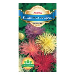 Семена цветов Астра игольчатая Гигантские лучи Семена Крыма 0.3 гр.