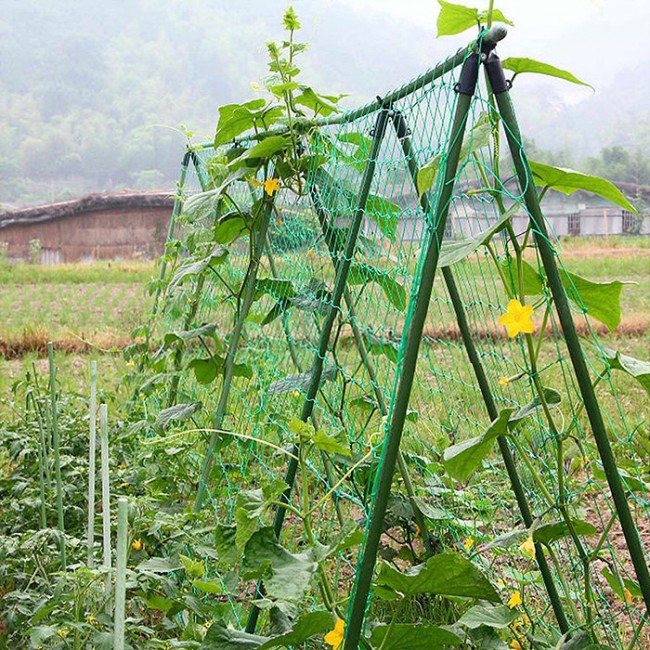 Шпалерная сетка для огурцов: эффективное решение для повышения урожайности и удобства выращивания